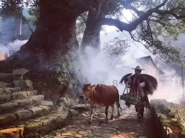 快速扣篮