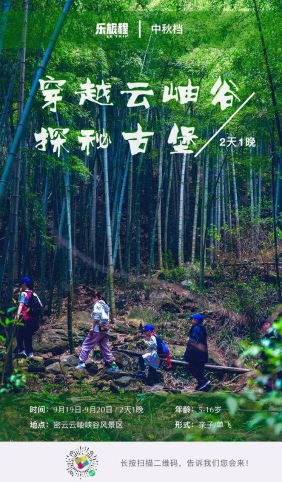 给主人带来好运的猫咪名字游戏画面